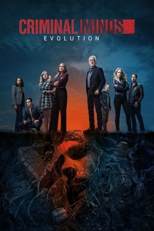 Criminal Minds 1 Sezon Toplam 364 Bölüm