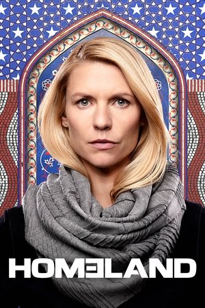 Homeland 1 Sezon Toplam 96 Bölüm