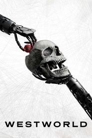 Westworld 1 Sezon Toplam 36 Bölüm