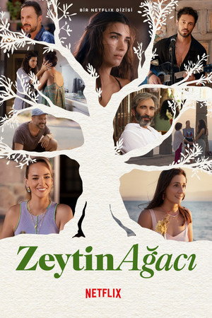Zeytin Ağacı 1 Sezon Toplam 24 Bölüm